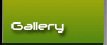 gallery button